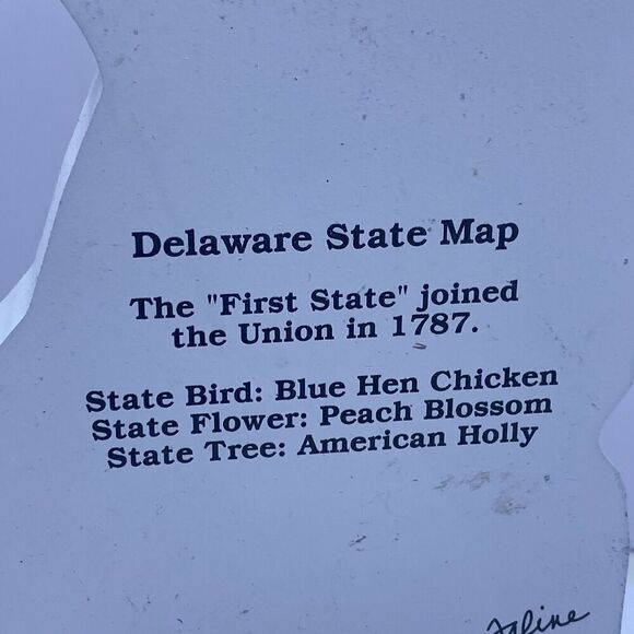 Cat's Meow Delaware State Map Painted Wood Shelf Sitter - Picture 7 of 9